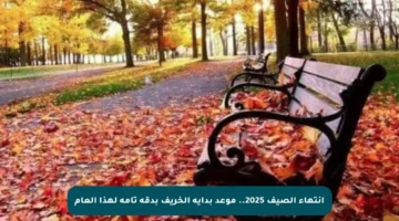 انتهاء الصيف 2025.. موعد بداية الخريف بدقة تامة لهذا العام